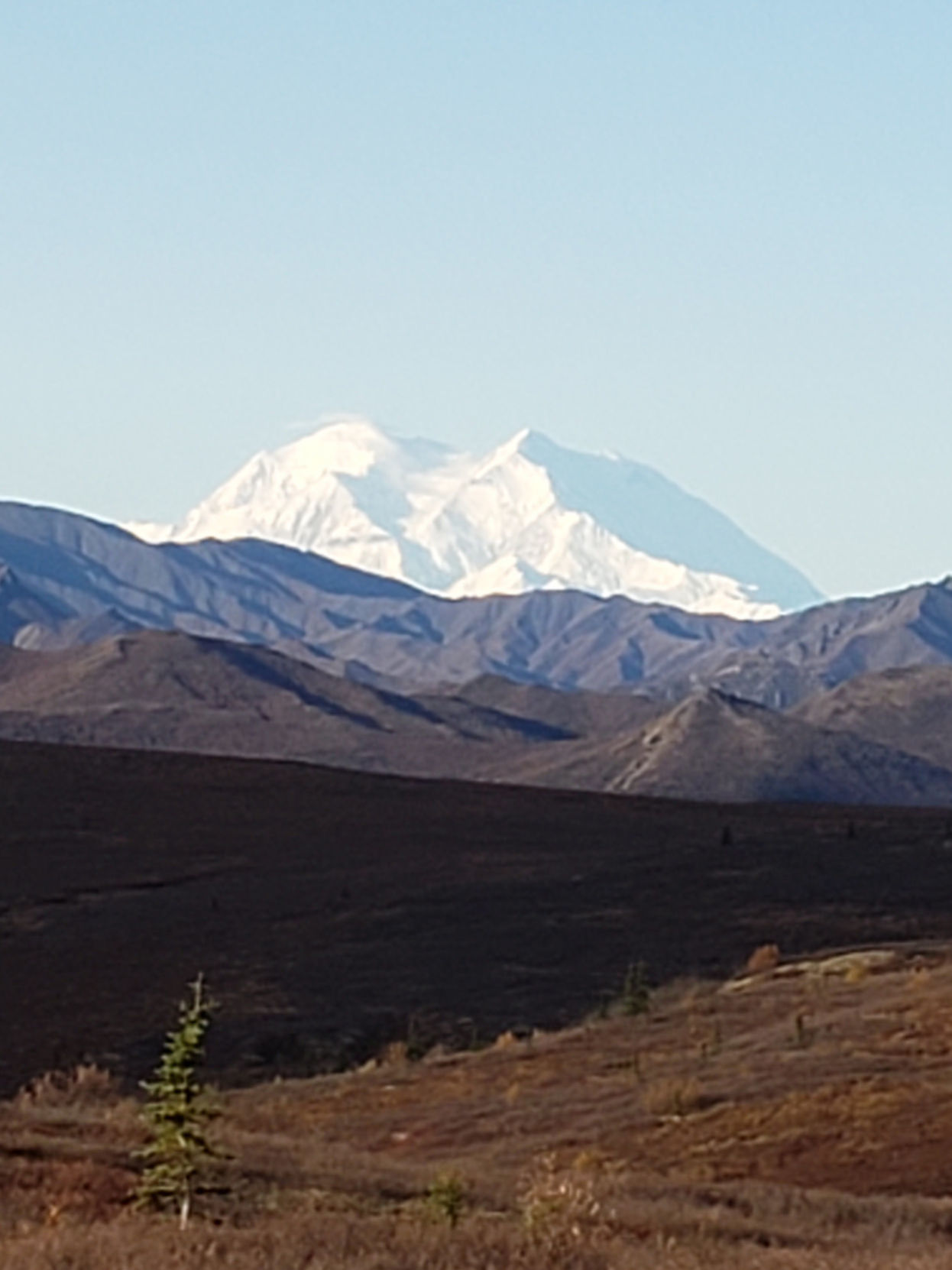 Denali